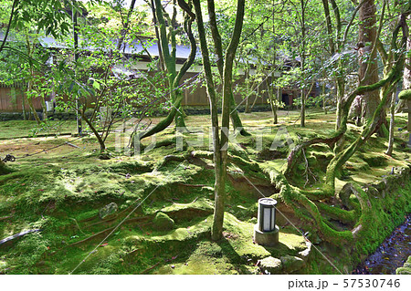 石川県 那谷寺 参道 石川県 那谷寺 参道 57530746