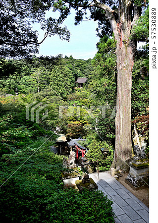 石川県　那谷寺　大悲閣（本殿） 57530889