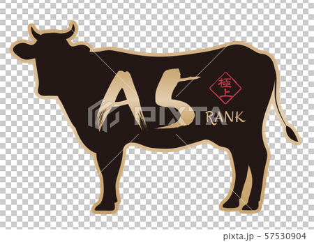 A5ランクラベル 57530904