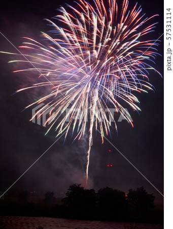 甲賀流にんにん大花火2019 甲賀流にんにん大花火2019 57531114