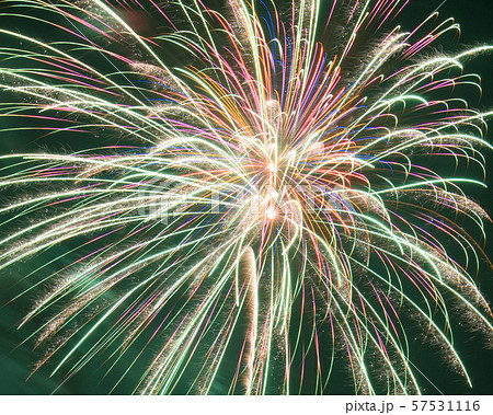 甲賀流にんにん大花火2019 57531116