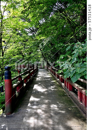 石川県　那谷寺　楓月橋 57531418