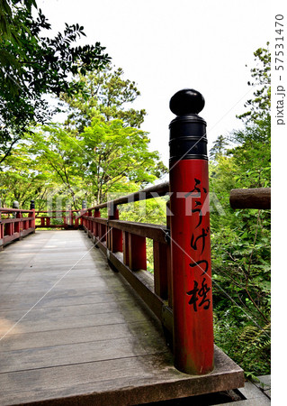 石川県 那谷寺 楓月橋 石川県 那谷寺 楓月橋 57531470