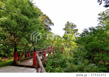 石川県 那谷寺 楓月橋 石川県 那谷寺 楓月橋 57531472