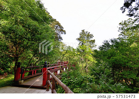石川県　那谷寺　楓月橋 57531473