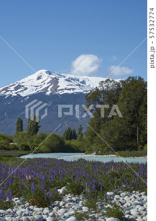 Spring in Patagonia 57532774