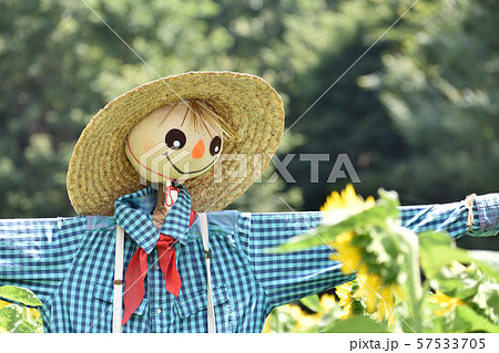 案山子 案山子 57533705