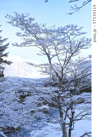 雪の飛騨民俗村　飛騨の里 57534114