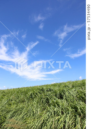 青空と大地 57534490
