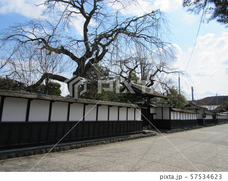 宮城県登米市　武家屋敷イメージ 57534623