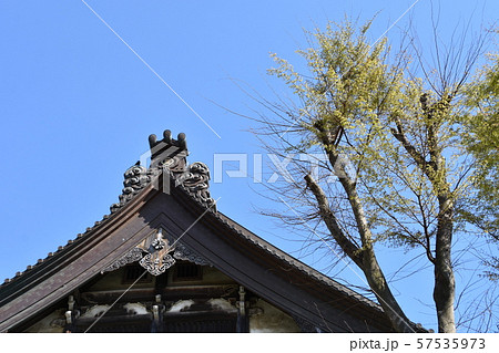 遊行寺　藤沢市 57535973