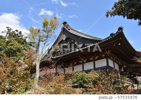遊行寺 藤沢市 遊行寺 藤沢市 57535976