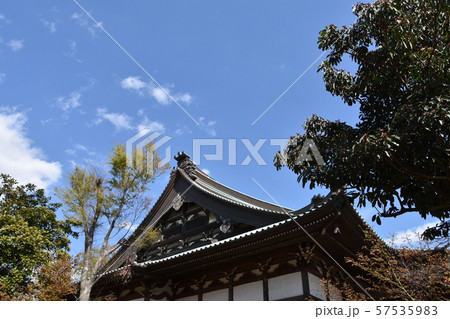 遊行寺　藤沢市 57535983