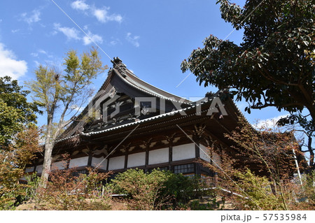 遊行寺　藤沢市 57535984