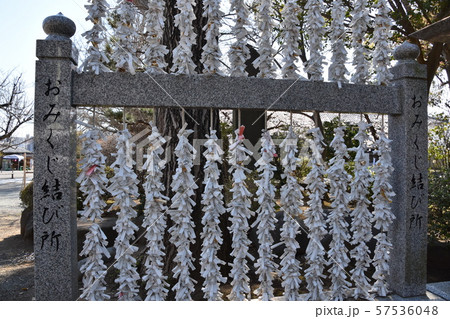 遊行寺　藤沢市 57536048