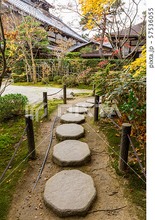 東池の飛び石 天授庵 東池の飛び石 天授庵 57536055