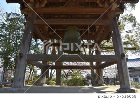 遊行寺　藤沢市 57536059