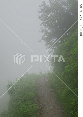 悪天候の登山道 （ガス・霧） 57536185