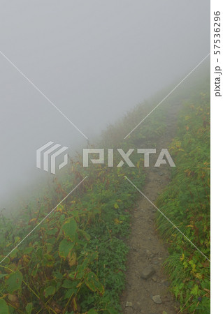 悪天候の登山道 （ガス・霧） 57536296