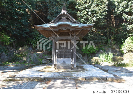 遊行寺　藤沢市 57536353