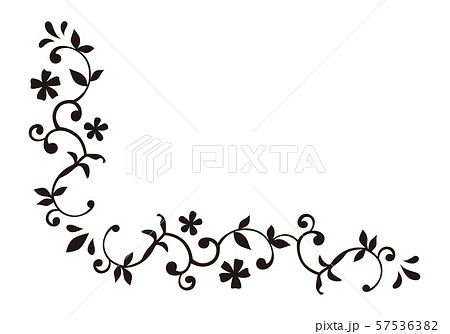 花と蔦の飾り罫のイラスト素材 57536382 Pixta