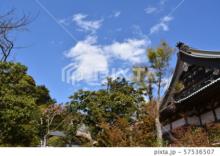 遊行寺 藤沢市 遊行寺 藤沢市 57536507