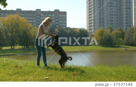Young woman playing with her dog in park 57537198