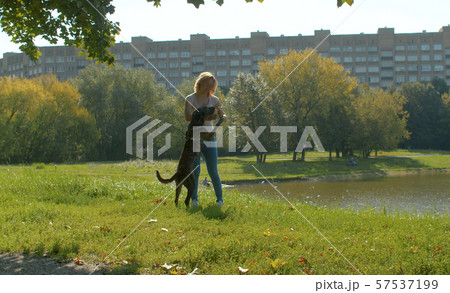 Young woman playing with her dog in park Young woman playing with her dog in park 57537199