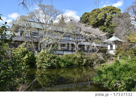 遊行寺 藤沢市 遊行寺 藤沢市 57537532