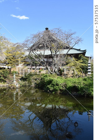 遊行寺　藤沢市 57537535