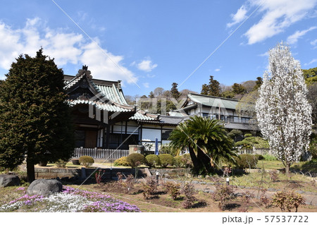 遊行寺 藤沢市 遊行寺 藤沢市 57537722