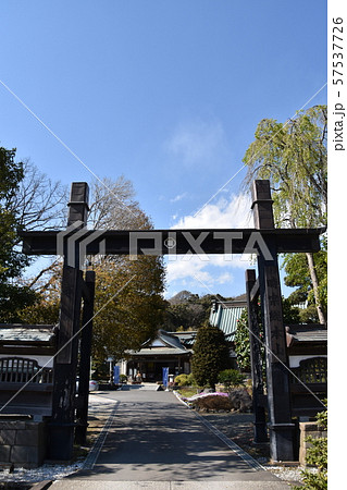 遊行寺　藤沢市 57537726