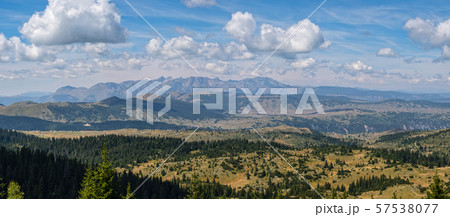 Summer Tara Canyon in mountain Durmitor National Summer Tara Canyon in mountain Durmitor National 57538077