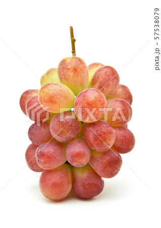 ぶどう(ほろよい) ぶどう(ほろよい) 57538079