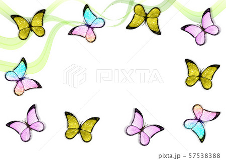 Butterflies and lines Butterflies and lines 57538388
