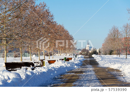 Trees in beautiful romantic winter alley covered with snow with sidewalk in the middle, church  57539390