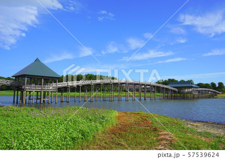 鶴の舞橋、鶴田町、青森県、日本 57539624