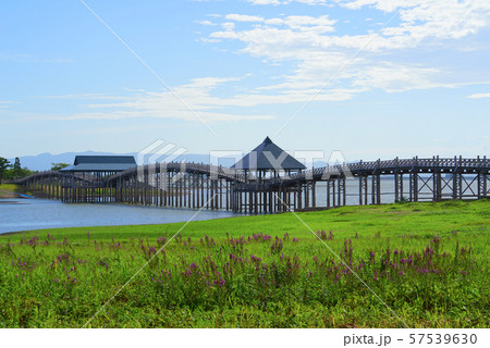 鶴の舞橋、鶴田町、青森県、日本 鶴の舞橋、鶴田町、青森県、日本 57539630