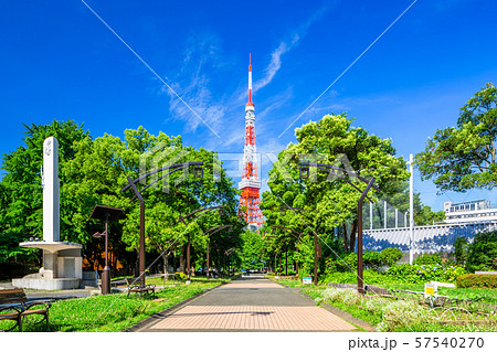 東京　春の芝公園と東京タワー（4号地） 57540270