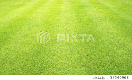 Green grass background Green grass background 57540968