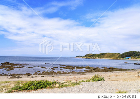 和田長浜 57543081