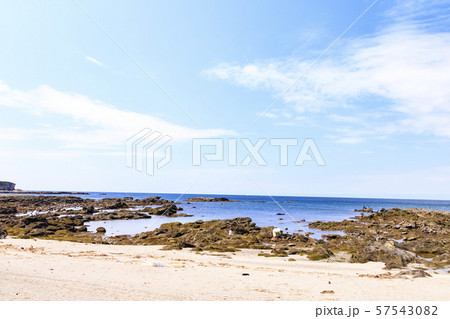 和田長浜 57543082