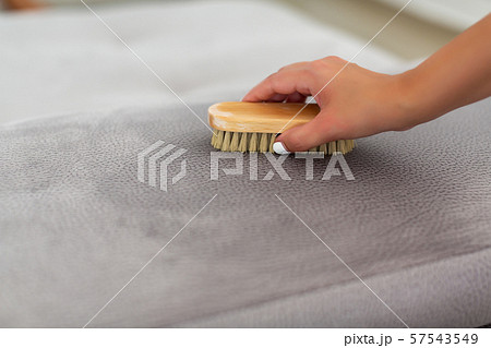 Cleaning concept. women hand without protective gloves cleaning sofa couch in the room Cleaning concept. women hand without protective gloves cleaning sofa couch in the room 57543549