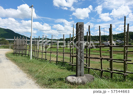 馬防柵(設楽原古戦場) 馬防柵(設楽原古戦場) 57544663