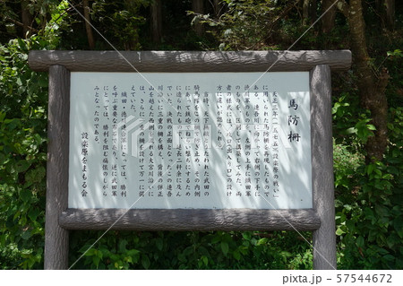 馬防柵（設楽原古戦場） 57544672