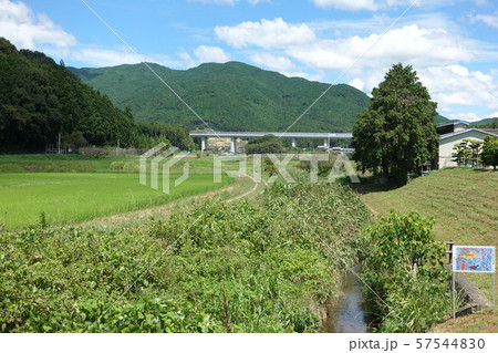 連吾川（設楽原古戦場） 57544830