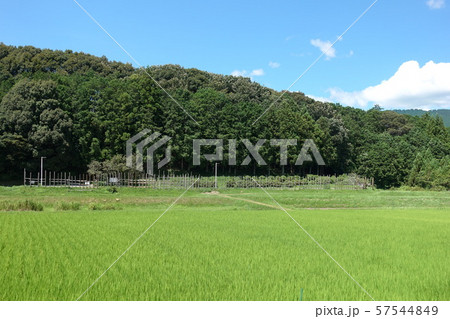 設楽原古戦場 57544849