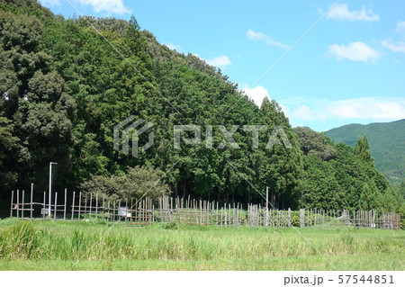 設楽原古戦場 57544851