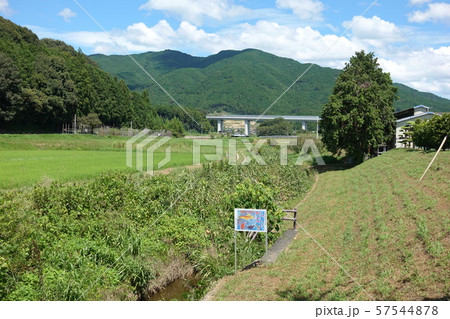 連吾川（設楽原古戦場） 57544878