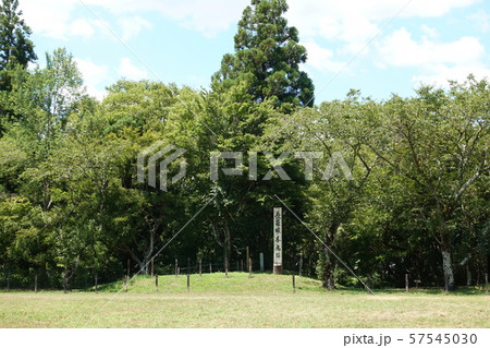 長篠城本丸 57545030